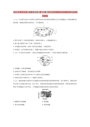 2022年高考生物 加練半小時 第12練 對比分析細胞的亞顯微結構與功能 蘇教版