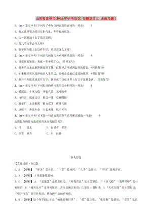 山東省泰安市2022年中考語文 專題復(fù)習(xí)五 語法習(xí)題1