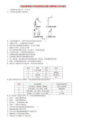 （連云港專版）中考化學(xué)復(fù)習(xí)方案 主題訓(xùn)練（五）練習(xí)