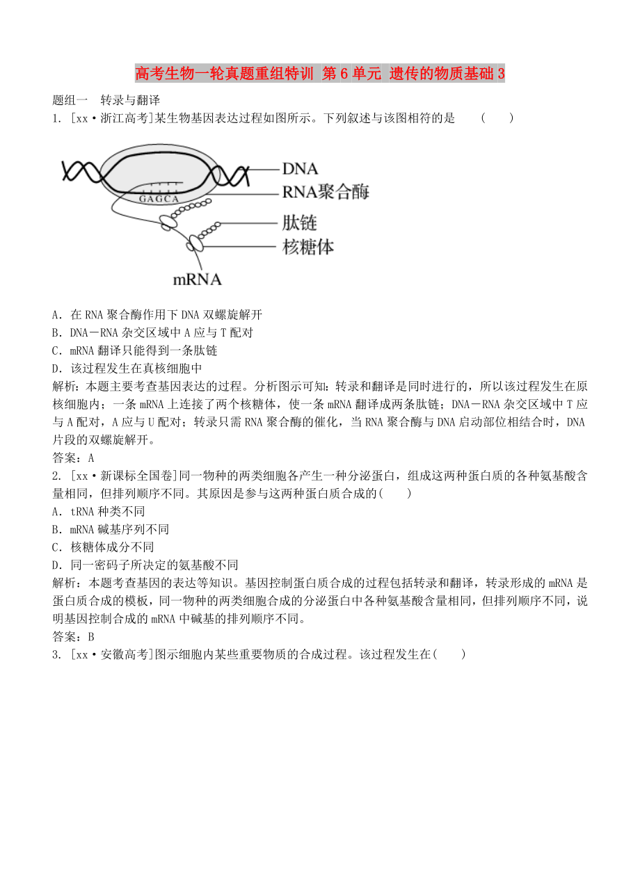 高考生物一輪真題重組特訓 第6單元 遺傳的物質(zhì)基礎(chǔ)3_第1頁