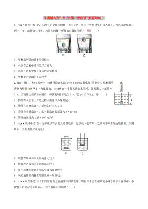 （淄博專版）2022屆中考物理 要題加練二