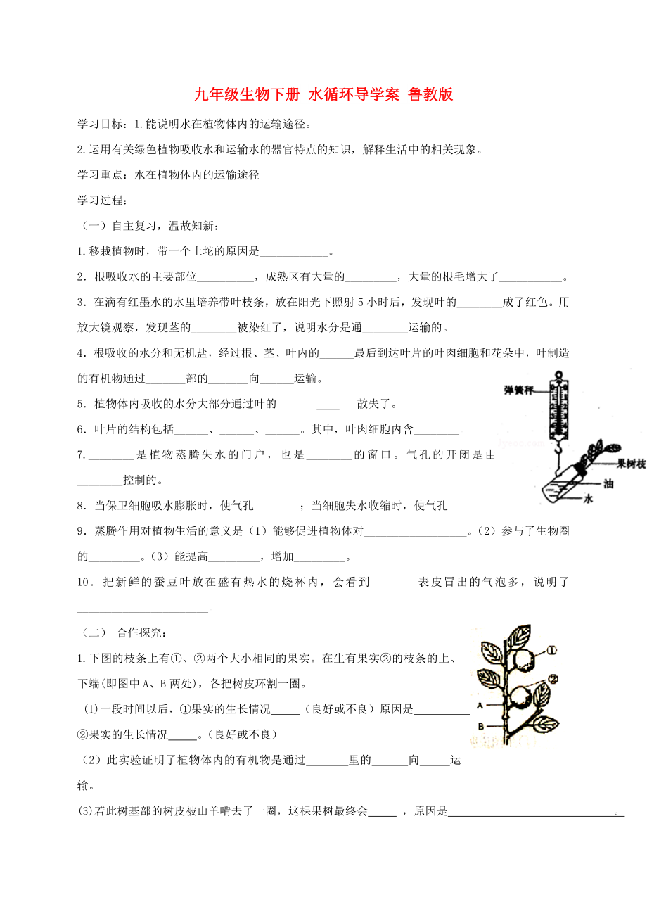 九年級(jí)生物下冊(cè) 水循環(huán)導(dǎo)學(xué)案 魯教版_第1頁(yè)