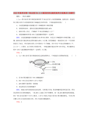 2022年高考生物一輪總復習 6.2.0基因的表達隨堂高考分組集訓（含解析）