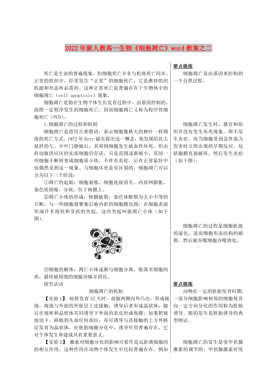 2022年新人教高一生物《細(xì)胞凋亡》word教案之二_第1頁(yè)