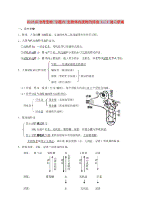 2022年中考生物 專題六 生物體內(nèi)廢物的排出（二）復(fù)習學案