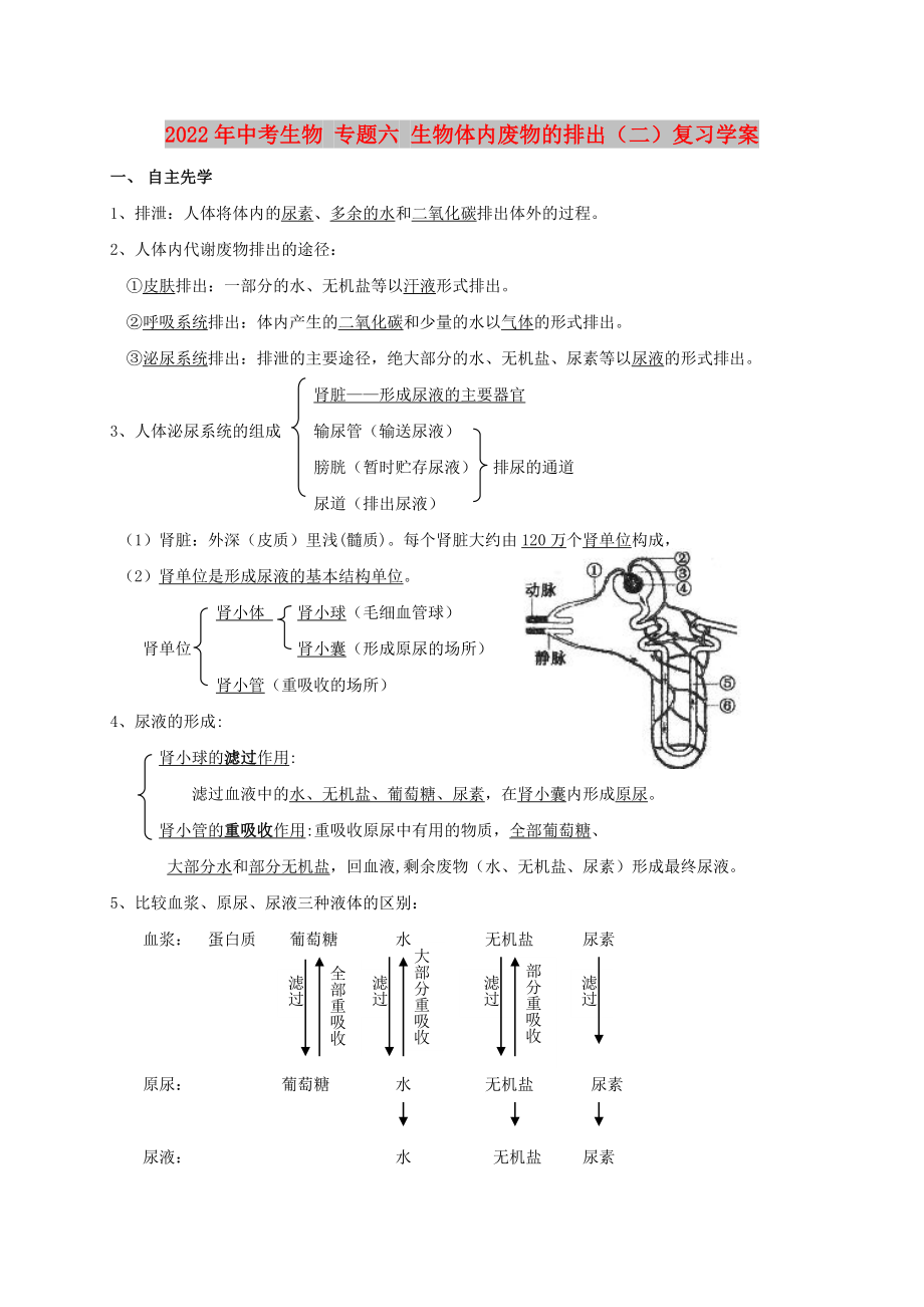 2022年中考生物 專題六 生物體內(nèi)廢物的排出（二）復習學案_第1頁