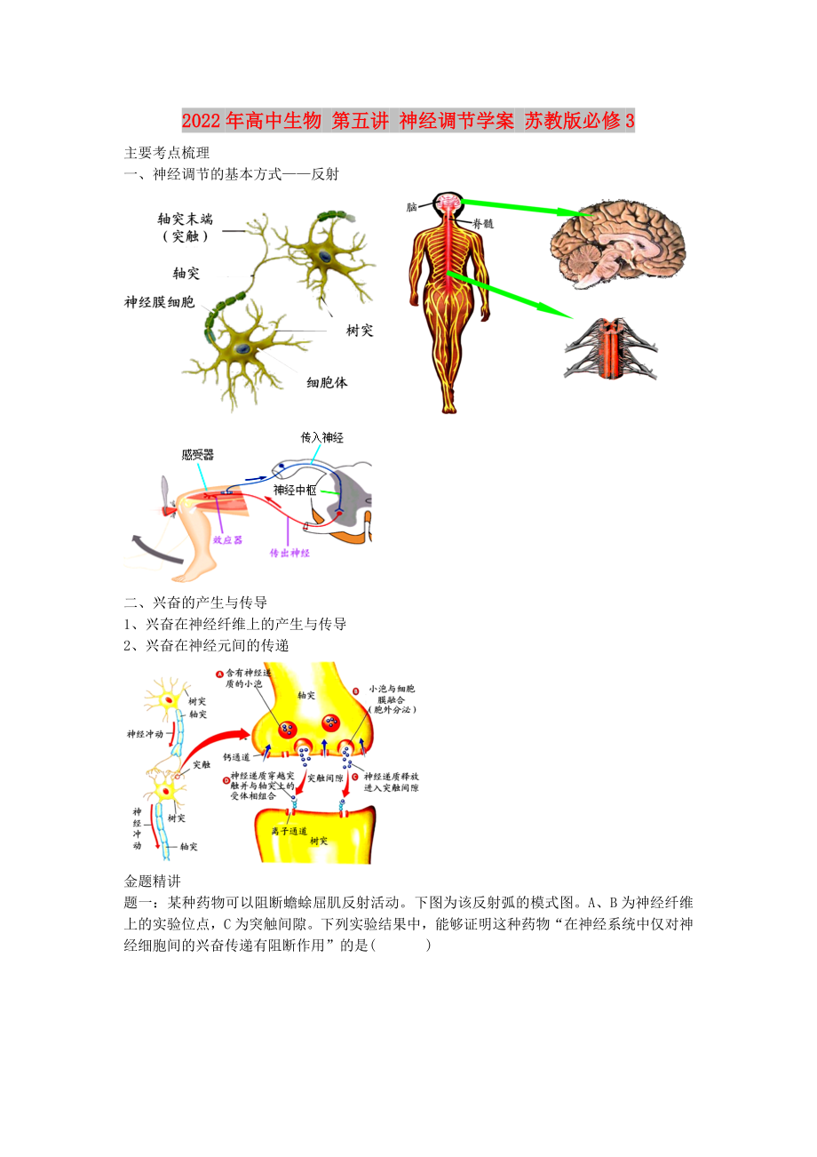 2022年高中生物 第五講 神經(jīng)調(diào)節(jié)學(xué)案 蘇教版必修3_第1頁