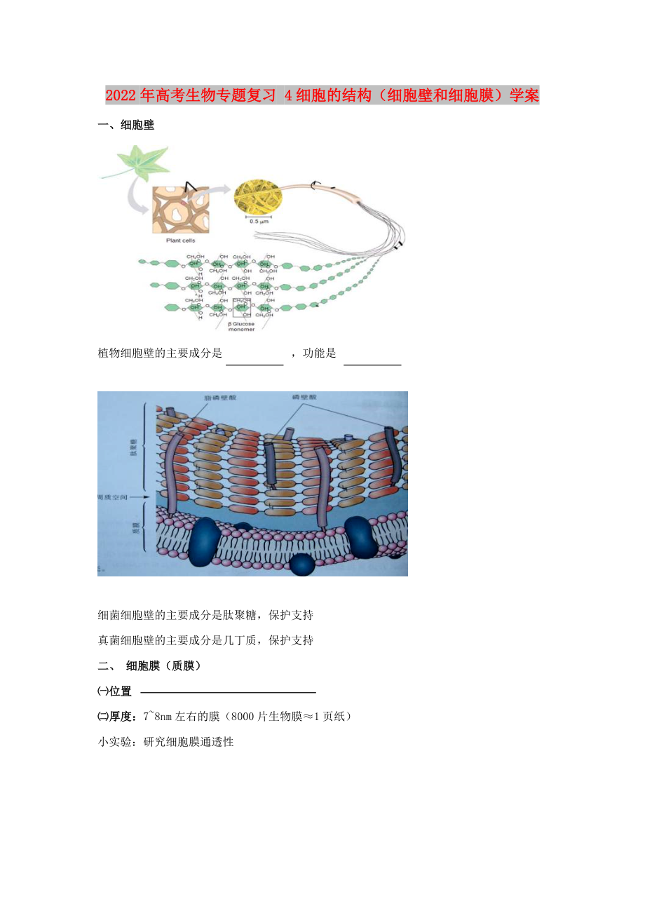 2022年高考生物專題復(fù)習(xí) 4細(xì)胞的結(jié)構(gòu)（細(xì)胞壁和細(xì)胞膜）學(xué)案_第1頁