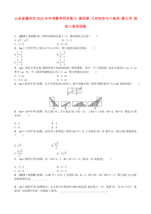 山東省德州市2022年中考數(shù)學(xué)同步復(fù)習(xí) 第四章 幾何初步與三角形 第七節(jié) 相似三角形訓(xùn)練