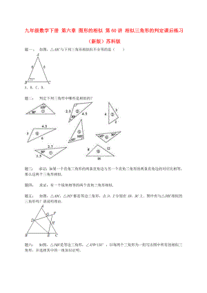 九年級數(shù)學下冊 第六章 圖形的相似 第60講 相似三角形的判定課后練習 （新版）蘇科版