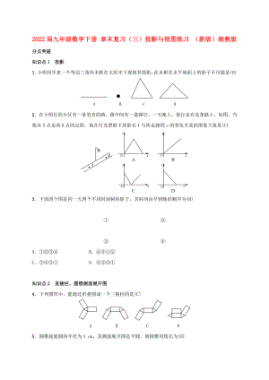 2022屆九年級數(shù)學(xué)下冊 章末復(fù)習(xí)（三）投影與視圖練習(xí) （新版）湘教版