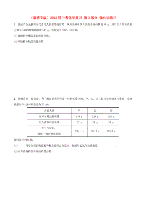 （淄博專版）2022屆中考化學(xué)復(fù)習(xí) 第3部分 強(qiáng)化訓(xùn)練三