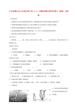 江苏省铜山区七年级生物下册 13.2 土壤里的微生物导学案2（新版）苏科版