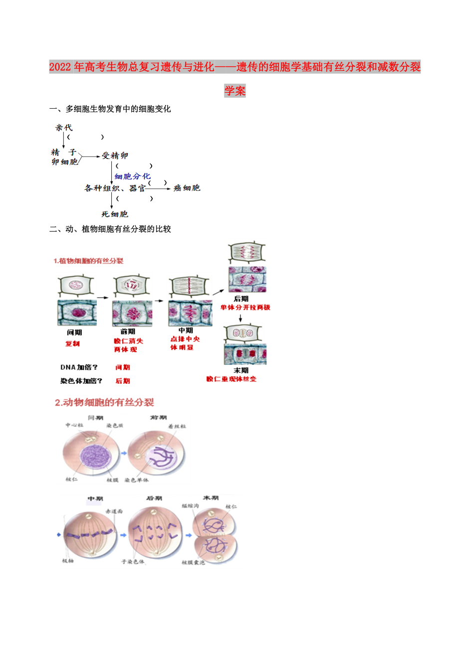 2022年高考生物總復(fù)習(xí) 遺傳與進(jìn)化——遺傳的細(xì)胞學(xué)基礎(chǔ) 有絲分裂和減數(shù)分裂學(xué)案_第1頁