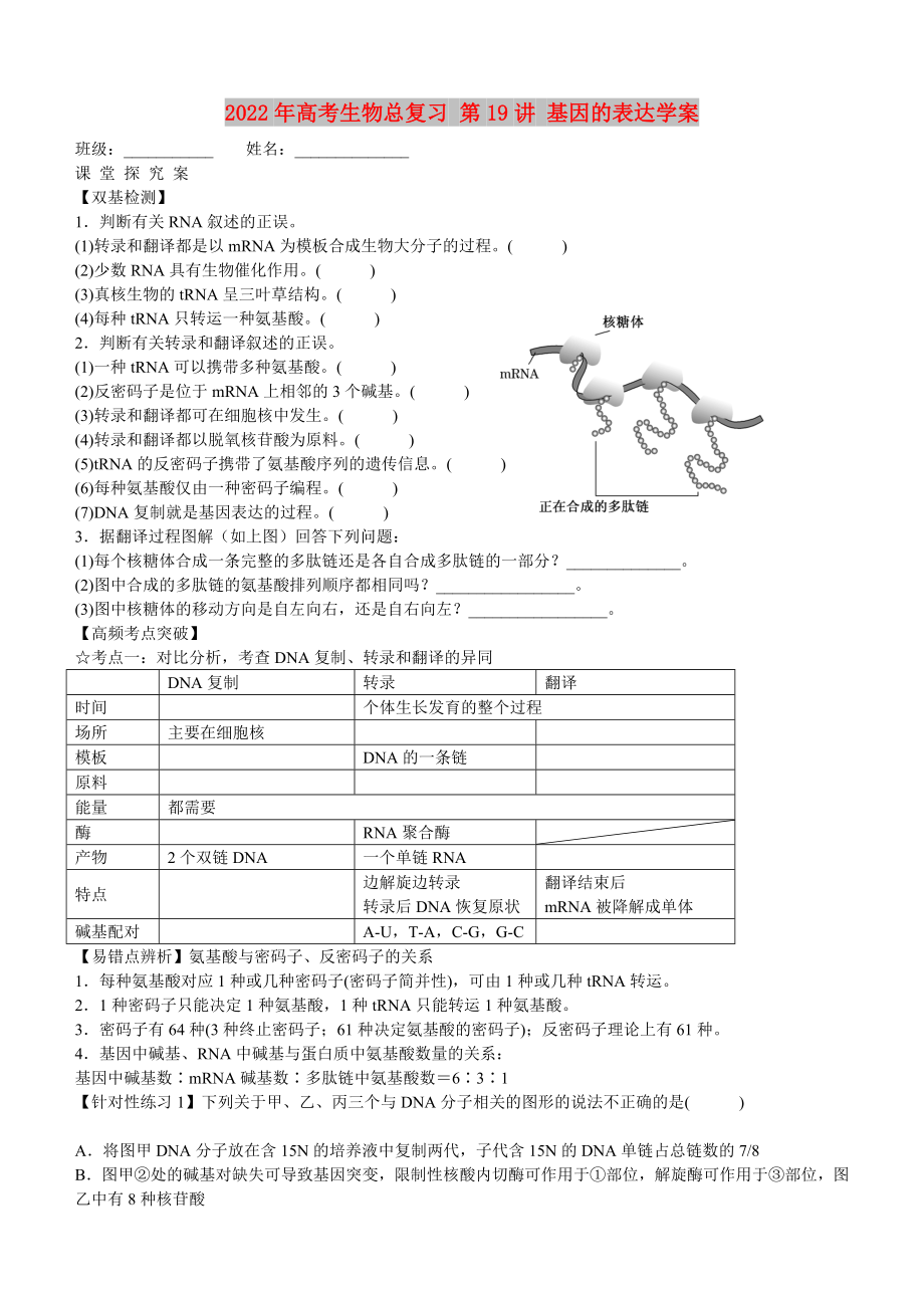 2022年高考生物總復(fù)習(xí) 第19講 基因的表達(dá)學(xué)案_第1頁