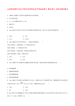 山東省東營市2022年初中化學(xué)學(xué)業(yè)水平考試總復(fù)習(xí) 第五單元 化學(xué)方程式練習(xí)