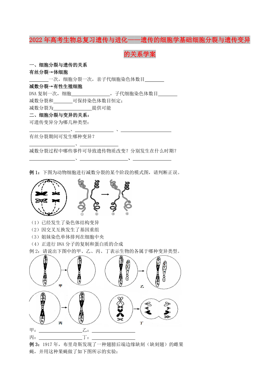 2022年高考生物總復(fù)習(xí) 遺傳與進化——遺傳的細胞學(xué)基礎(chǔ) 細胞分裂與遺傳變異的關(guān)系學(xué)案_第1頁