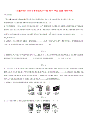 （安徽專用）2022中考物理高分一輪 第07單元 壓強(qiáng) 課時(shí)訓(xùn)練