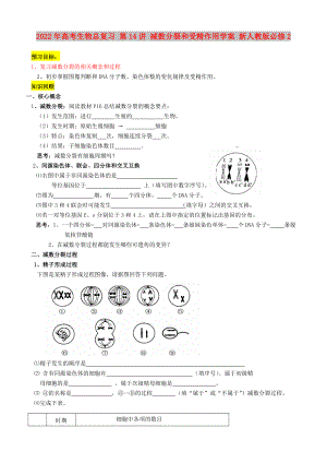 2022年高考生物總復(fù)習(xí) 第14講 減數(shù)分裂和受精作用學(xué)案 新人教版必修2
