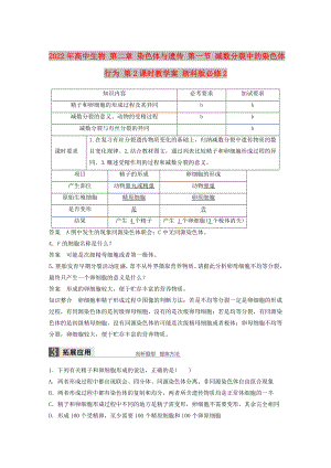 2022年高中生物 第二章 染色體與遺傳 第一節(jié) 減數(shù)分裂中的染色體行為 第2課時(shí)教學(xué)案 浙科版必修2