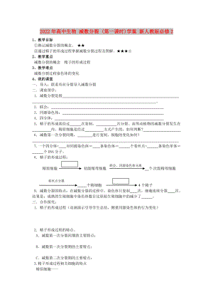 2022年高中生物 減數(shù)分裂 (第一課時(shí))學(xué)案 新人教版必修2