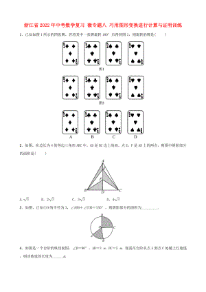 浙江省2022年中考數(shù)學(xué)復(fù)習(xí) 微專題八 巧用圖形變換進(jìn)行計算與證明訓(xùn)練