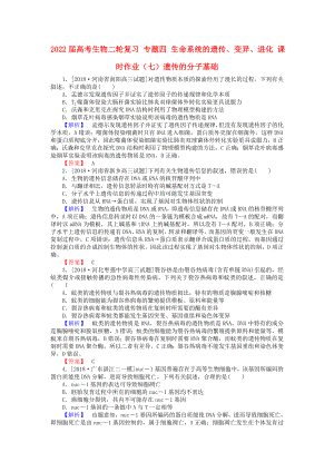 2022屆高考生物二輪復(fù)習(xí) 專題四 生命系統(tǒng)的遺傳、變異、進(jìn)化 課時(shí)作業(yè)（七）遺傳的分子基礎(chǔ)