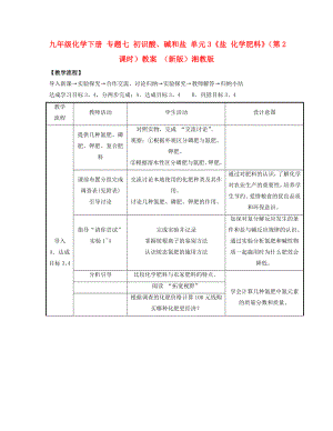 九年級化學下冊 專題七 初識酸、堿和鹽 單元3《鹽 化學肥料》（第2課時）教案 （新版）湘教版