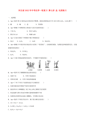 河北省2022年中考化學一輪復習 第七講 鹽 化肥練習