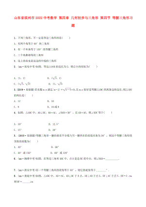 山東省濱州市2022中考數(shù)學(xué) 第四章 幾何初步與三角形 第四節(jié) 等腰三角形習(xí)題