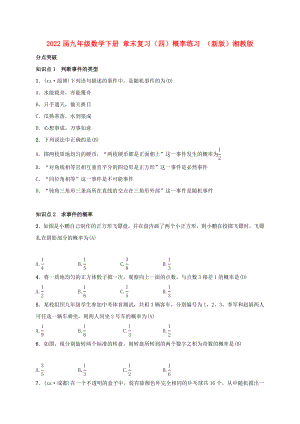 2022屆九年級數(shù)學(xué)下冊 章末復(fù)習(xí)（四）概率練習(xí) （新版）湘教版