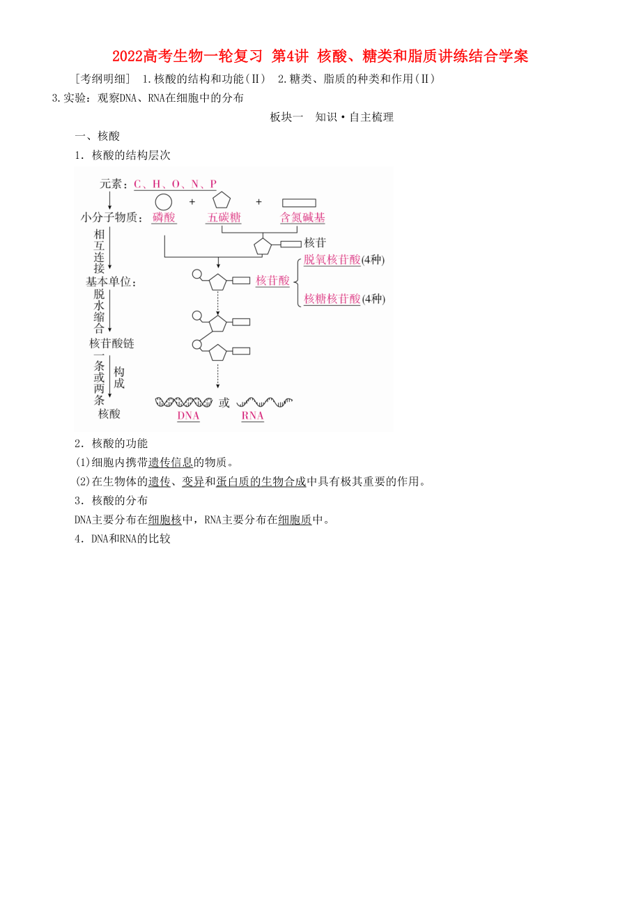 2022高考生物一輪復(fù)習(xí) 第4講 核酸、糖類和脂質(zhì)講練結(jié)合學(xué)案_第1頁