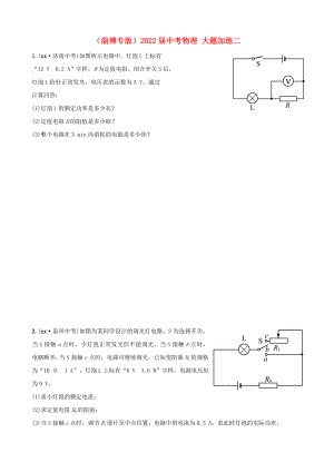 （淄博專(zhuān)版）2022屆中考物理 大題加練二