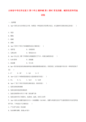 云南省中考化學(xué)總復(fù)習(xí) 第十單元 酸和堿 第1課時 常見的酸、堿的性質(zhì)和用途訓(xùn)練