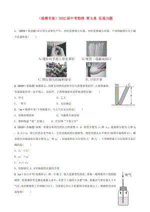 （淄博專版）2022屆中考物理 第七章 壓強習題