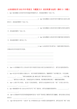 山東省泰安市2022年中考語文 專題復(fù)習(xí)六 語言積累與運(yùn)用（課時(shí)2）習(xí)題2