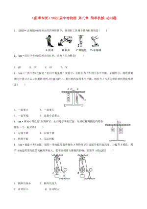 （淄博專版）2022屆中考物理 第九章 簡(jiǎn)單機(jī)械 功習(xí)題