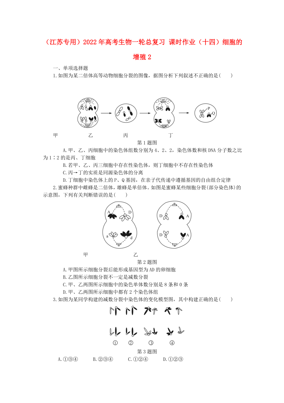 （江蘇專用）2022年高考生物一輪總復(fù)習(xí) 課時(shí)作業(yè)（十四）細(xì)胞的增殖2_第1頁