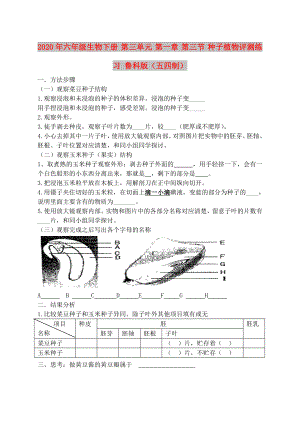 2020年六年級(jí)生物下冊(cè) 第三單元 第一章 第三節(jié) 種子植物評(píng)測(cè)練習(xí) 魯科版（五四制）