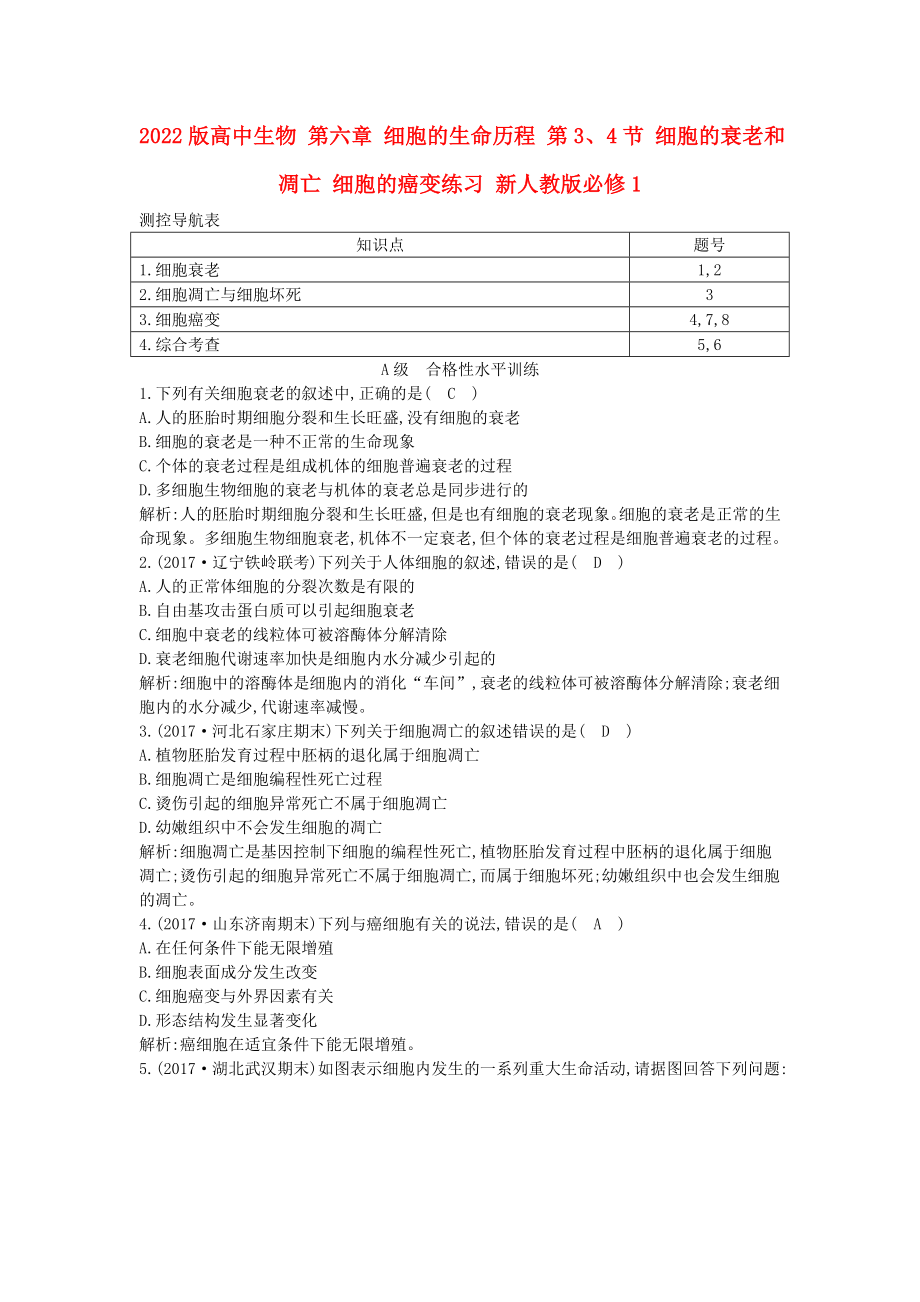 2022版高中生物 第六章 細(xì)胞的生命歷程 第3、4節(jié) 細(xì)胞的衰老和凋亡 細(xì)胞的癌變練習(xí) 新人教版必修1_第1頁