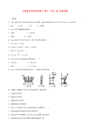 云南省中考化學(xué)總復(fù)習(xí) 第十一單元 鹽 化肥訓(xùn)練