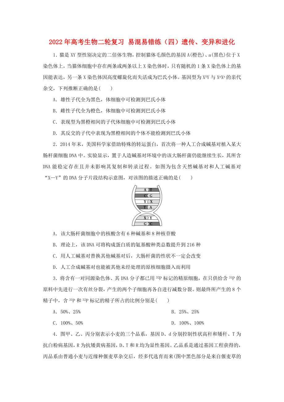 2022年高考生物二輪復(fù)習(xí) 易混易錯練（四）遺傳、變異和進化_第1頁