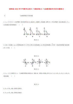 湖南省2022年中考數(shù)學(xué)總復(fù)習(xí) 專題訓(xùn)練01 與函數(shù)圖象有關(guān)的問題練習(xí)