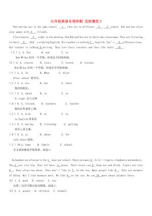 小升初英語(yǔ)專項(xiàng)沖刺 完形填空3