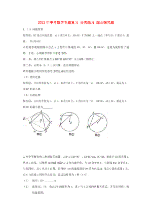 2022年中考數(shù)學(xué)專題復(fù)習(xí) 分類練習(xí) 綜合探究題