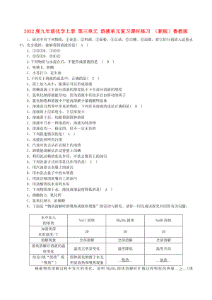 2022度九年級化學上冊 第三單元 溶液單元復習課時練習 （新版）魯教版