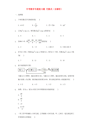 中考數(shù)學(xué)專題復(fù)習(xí)題 代數(shù)式（含解析）