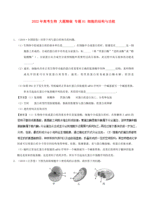 2022年高考生物 大題精做 專題01 細(xì)胞的結(jié)構(gòu)與功能