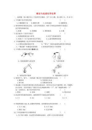 2020年中考化學(xué)專題練習(xí) 緒言與走進化學(xué)世界（無答案）