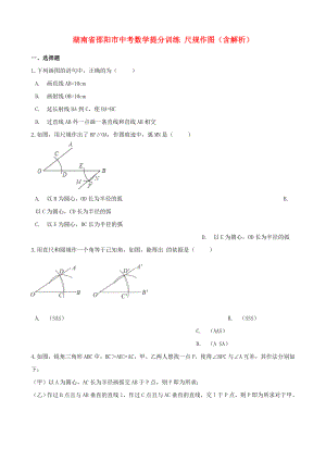 湖南省邵陽市中考數(shù)學(xué)提分訓(xùn)練 尺規(guī)作圖（含解析）